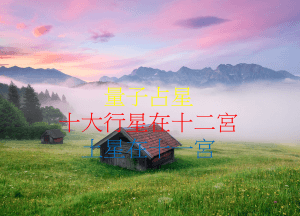 土星在十一宮（2020年新修版）
