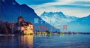 海王星在十一宮(2020年新修版)