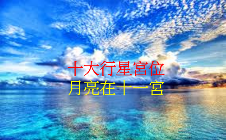 月亮在十一宫(2020年新修版)