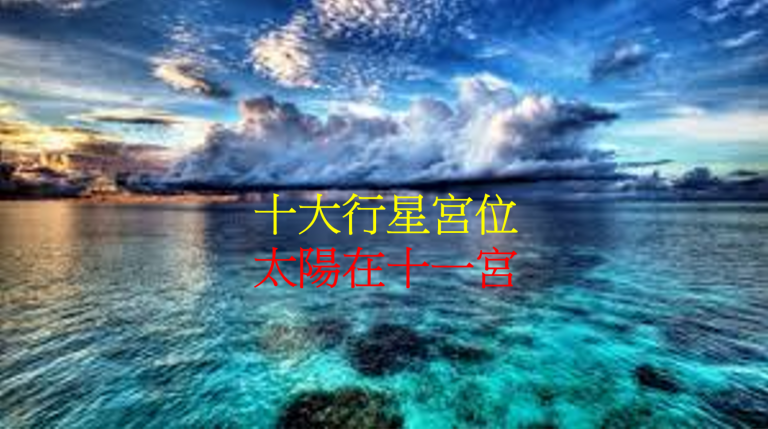 太阳在十一宫(2020年新修版)