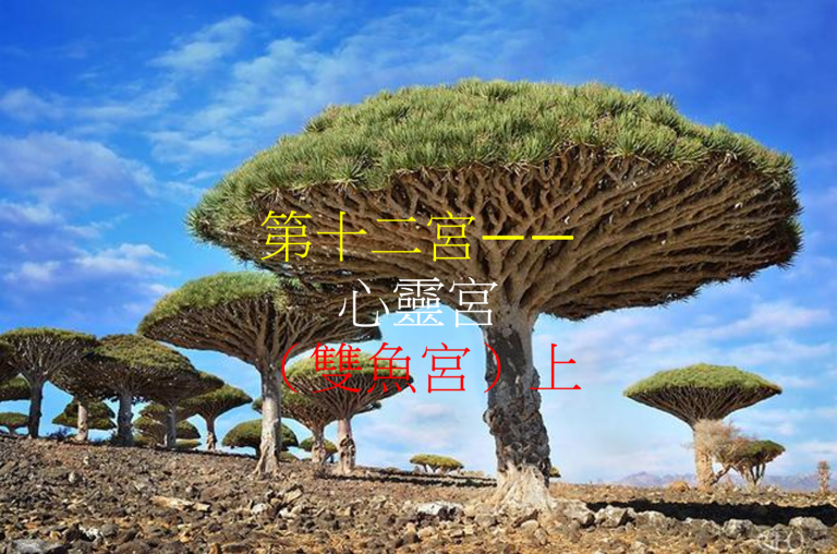 第十二宫——心灵宫(双鱼宫)上