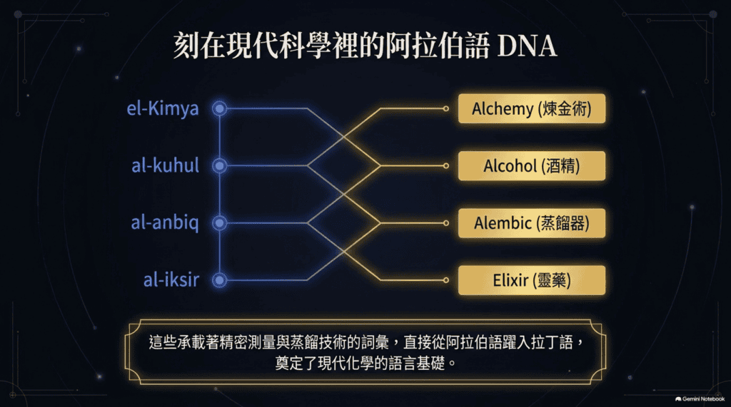 圖片7