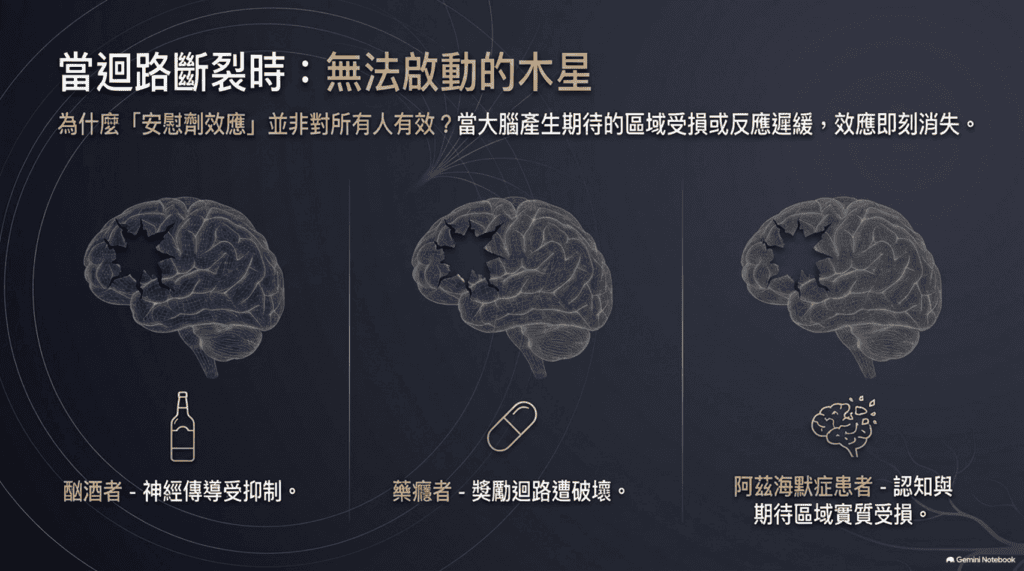 图片8
