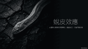 圖片1