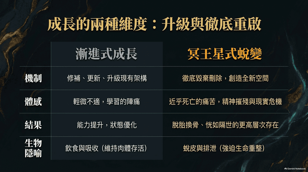 圖片14