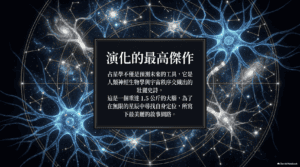 圖片15