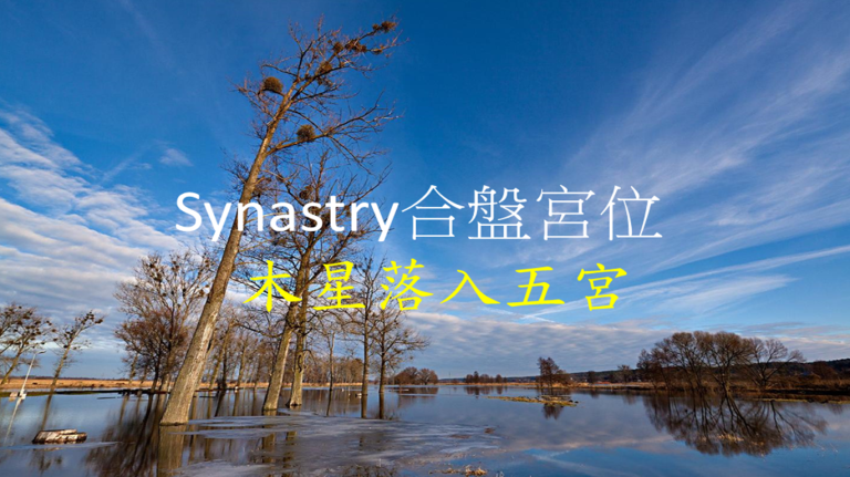 Synastry合盘宫位 之 木星落入五宫