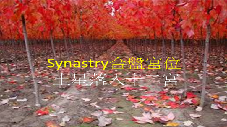 Synastry合盤宮位 之 土星落入十二宮