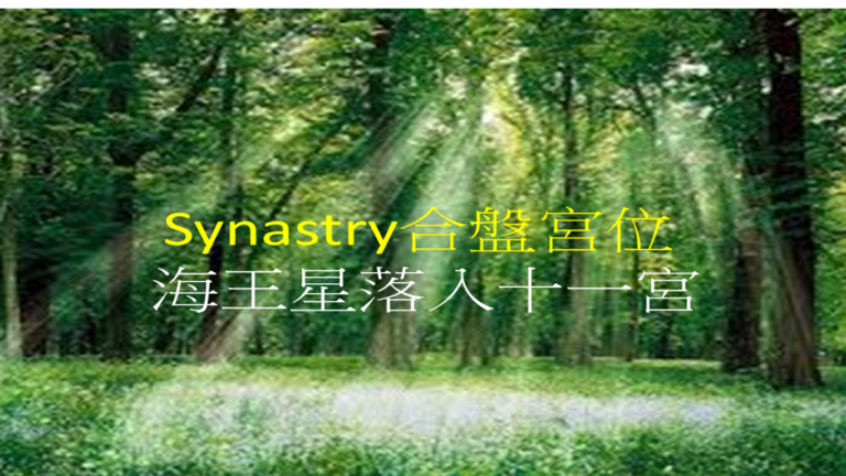 Synastry合盘宫位 之 海王星落入十一宫
