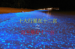 海王星在十二宮(2020年新修版)