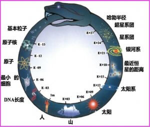 量子占星逻辑——【病毒与三王星】(上)