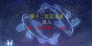 第十二宫的宫主星(下)