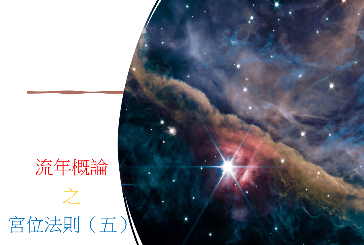 圖片8